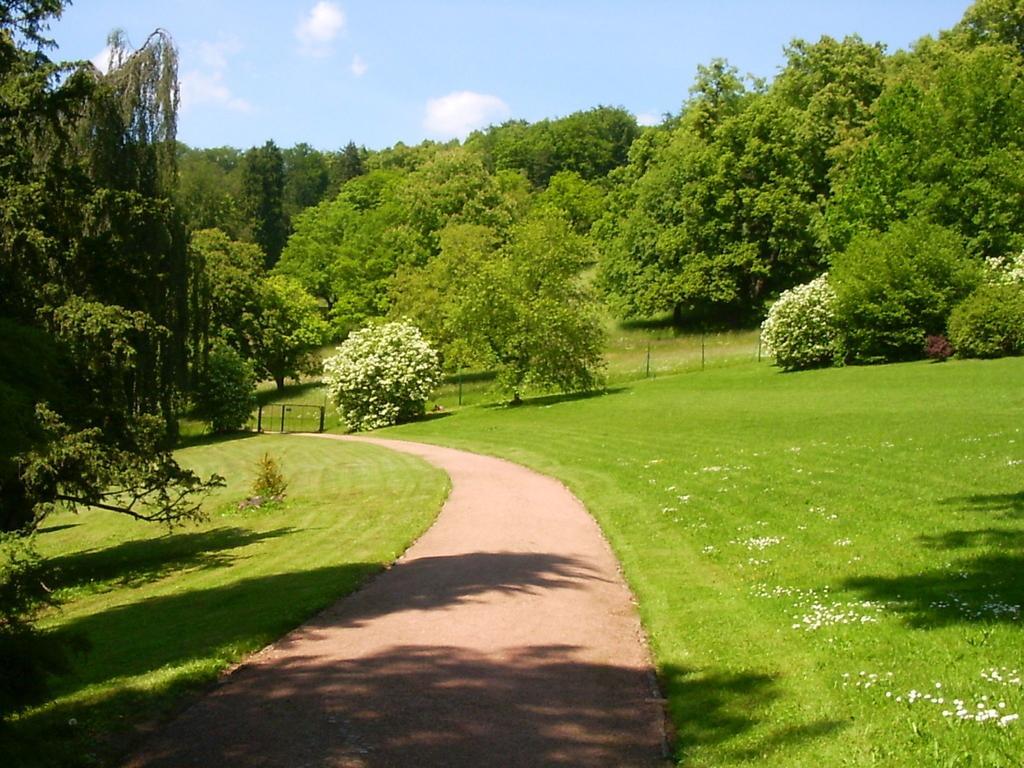 Lovely Holiday Home In The Thuringian Forest With Roof Terrace And Great View Bad Liebenstein Exteriör bild